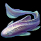 turtle-paradise-eel-symbol