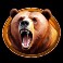 Raging-Riches-slot-Bear-symbol