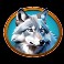 Raging-Riches-slot-Wolf-symbol