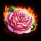 angel-vs-sinner-slot-pink-rose-symbol