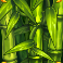 big-bam-book-slot-mystery-bamboo-symbol