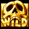 coins-and-cannons-slot-wild-symbol