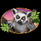 congo-cash-slot-lemur-symbol