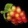 mirror-joker-slot-grapes-symbol