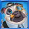 5-doggy-millionaires-dream-drop-slot-pug-symbol