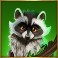 Bison-Moon-Megaways-slot-Raccoon-symbol