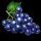 Minting_it_Hold_n_Win_slot_Grapes_symbol
