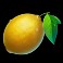 Minting_it_Hold_n_Win_slot_Lemon_symbol