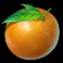 Minting_it_Hold_n_Win_slot_Orange_symbol