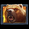 beasts-of-fire-maximum-slot-bear-symbol