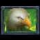 beasts-of-fire-maximum-slot-eagle-symbol