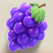 bill-coin-dream-drop-slot-grapes-symbol