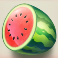 bill-coin-dream-drop-slot-watermelon-symbol