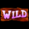 booty-ahoy-slot-wild-symbol