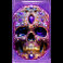 danger-high-voltage-2-slot-skull-symbol