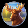 eagle-storm-slot-moose-symbol