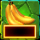 king-kong-cash-dj-prime8-jk-slot-cash-symbol