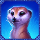 lions-gigablox-slot-meerkat-symbol