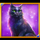 moon-spell-slot-cat-symbol