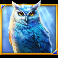 moon-spell-slot-owl-symbol