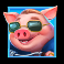 piggy-town-slot-blue-pig-symbol