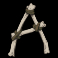 rabid-randy-slot-a-symbol
