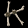 rabid-randy-slot-k-symbol