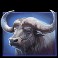 savannah_pride_slot_Buffalo_symbol