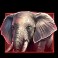 savannah_pride_slot_Elephant_symbol