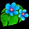 tiki-secret-slot-blue-flowers-symbol
