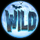 vampy-party-slot-vinyl-wild-symbol
