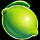 where-the-wilds-are-slot-lime-symbol