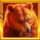 wild-west-buffalo-blast-slot-bear-symbol