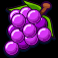 wins-wheels-slot-grapes-symbol