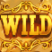 big-bucks-bison-10K-slot-wild-symbol