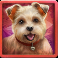 diamond-doggies-slot-maltese-symbol
