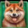 diamond-doggies-slot-shiba-inu-symbol