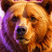 himalayan-wild-slot-bear-symbol