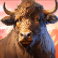 himalayan-wild-slot-yak-symbol