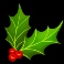 hot-turkey-slot-holly-symbol