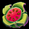 the-secret-forest-slot-watermelon-symbol