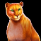 wolf-gold-ultimate-slot-cougar-symbols