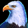 wolf-gold-ultimate-slot-eagle-symbols