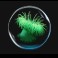 Atlantean Treasures Mega Moolah-seaweed-symbol