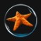 Atlantean Treasures Mega Moolah-star-symbol