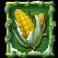 Brew-Brothers-Xmas-Brew-slot-Maize-symbol