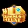 Deco Diamonds Deluxe slot wilds symbol