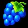 Fruit-Party-slot-Grapes-symbol
