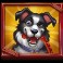 Hot Dog Heist Slot-Border Collie-Symbol