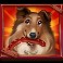 Hot Dog Heist Slot-Rough Collie-Symbol
